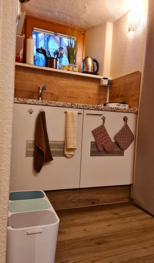 Ferienwohnung Im Garten Eden Grünberg エクステリア 写真